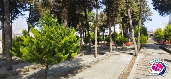 تصویر خبر
