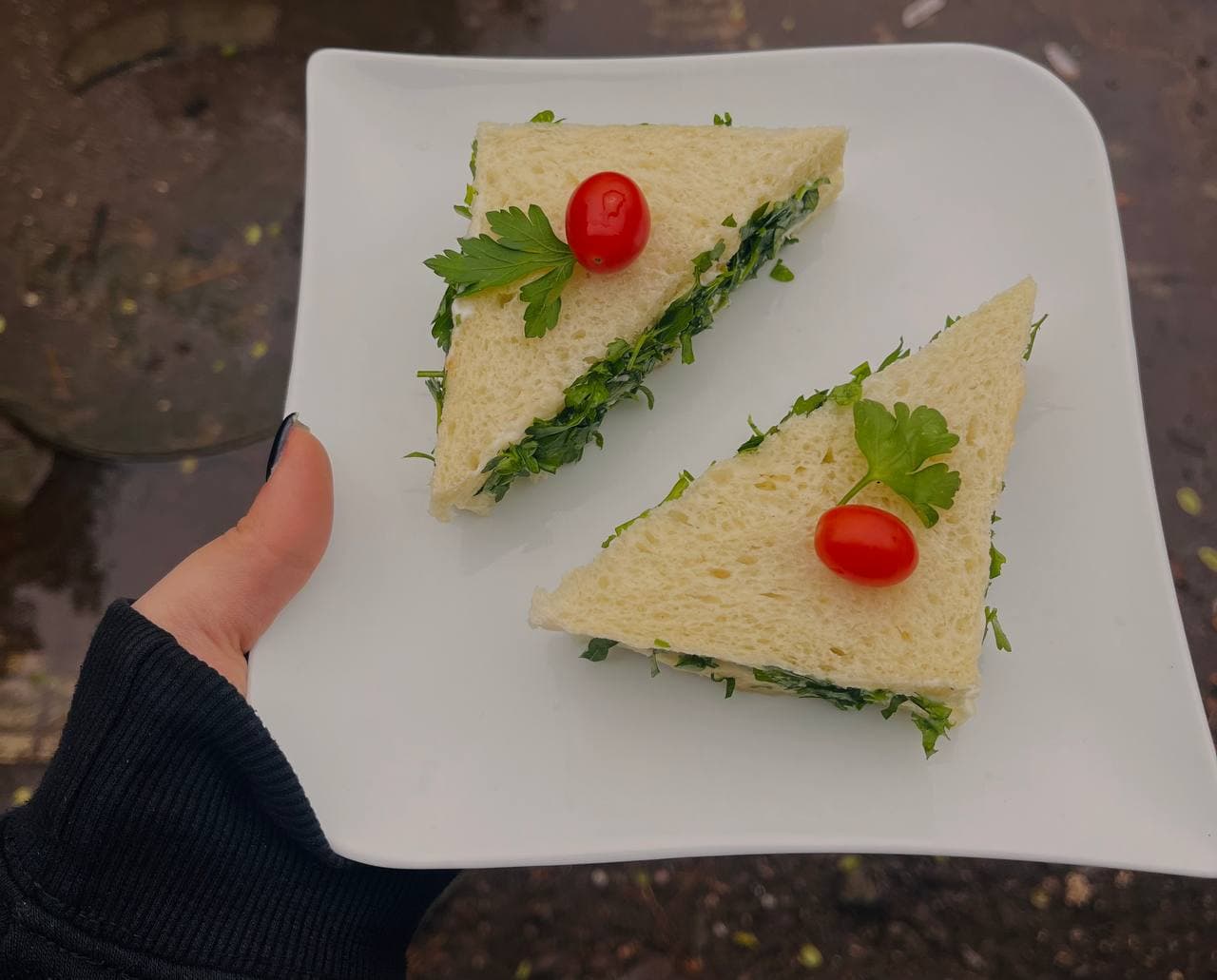 هنرستان فردای علم